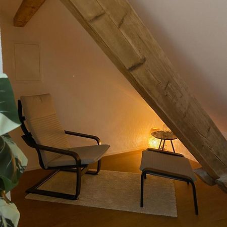 Eine Schoene Wohnung An Der Birs Basel Exterior photo