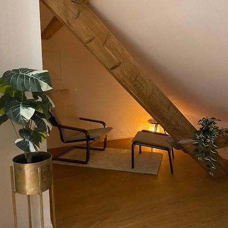 Eine Schoene Wohnung An Der Birs Basel Exterior photo