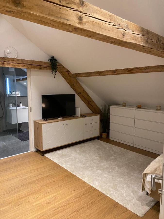 Eine Schoene Wohnung An Der Birs Basel Exterior photo