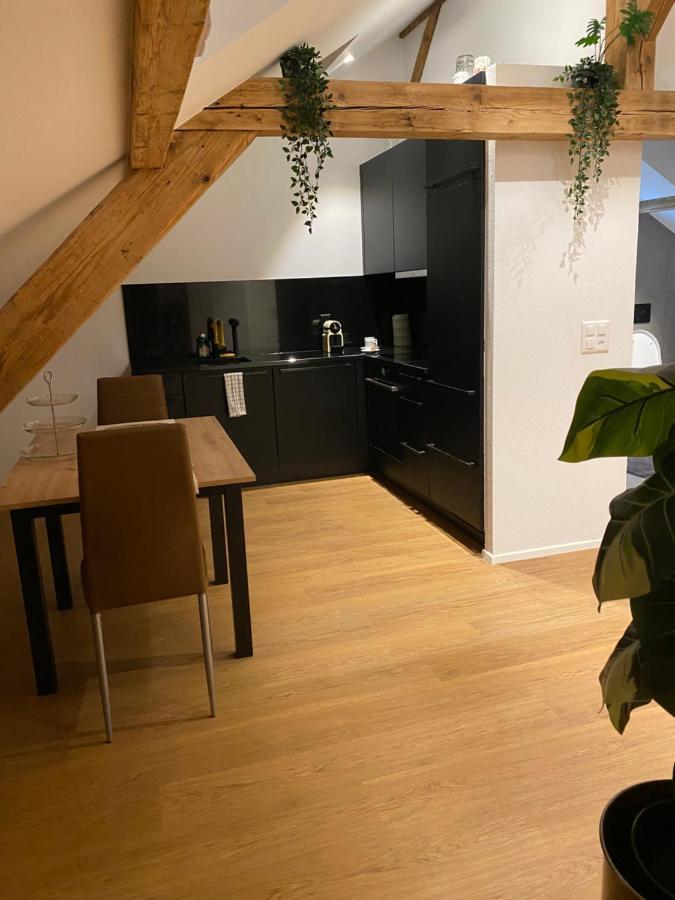 Eine Schoene Wohnung An Der Birs Basel Exterior photo